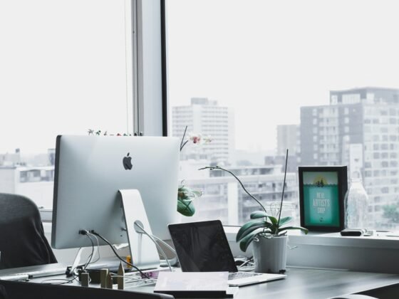 How To Start A Business This Summer and Succeed
