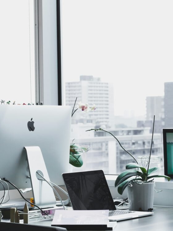 How To Start A Business This Summer and Succeed